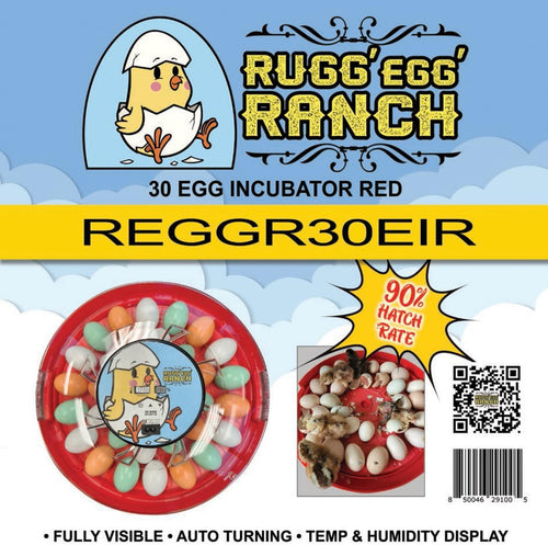 30 Egg Incubator Auto turn